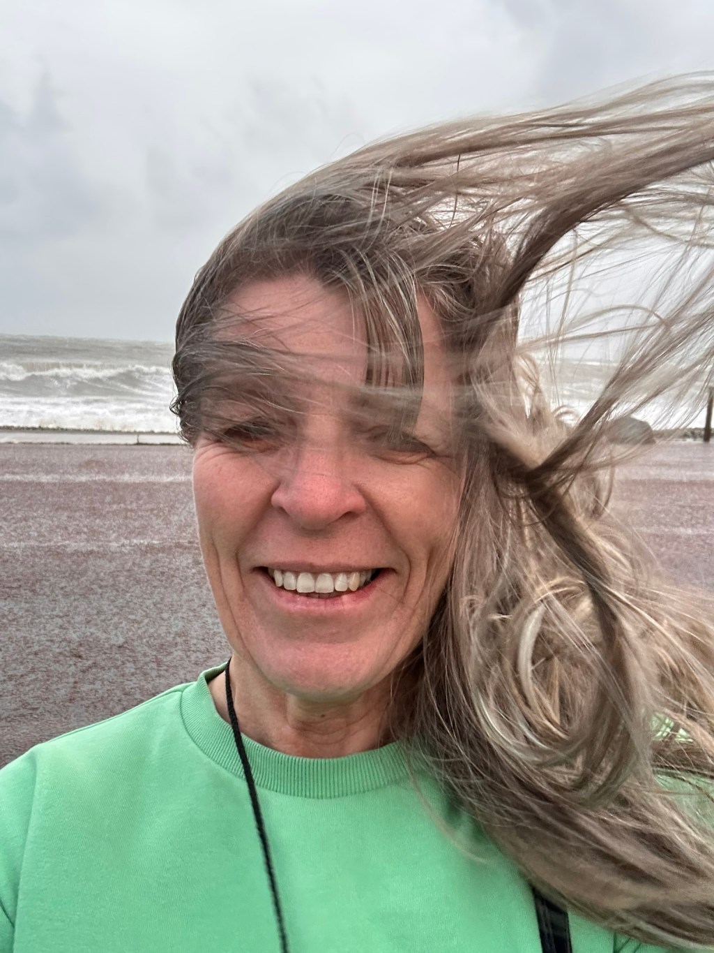 Menopause, the Great&nbsp;Disruptor!