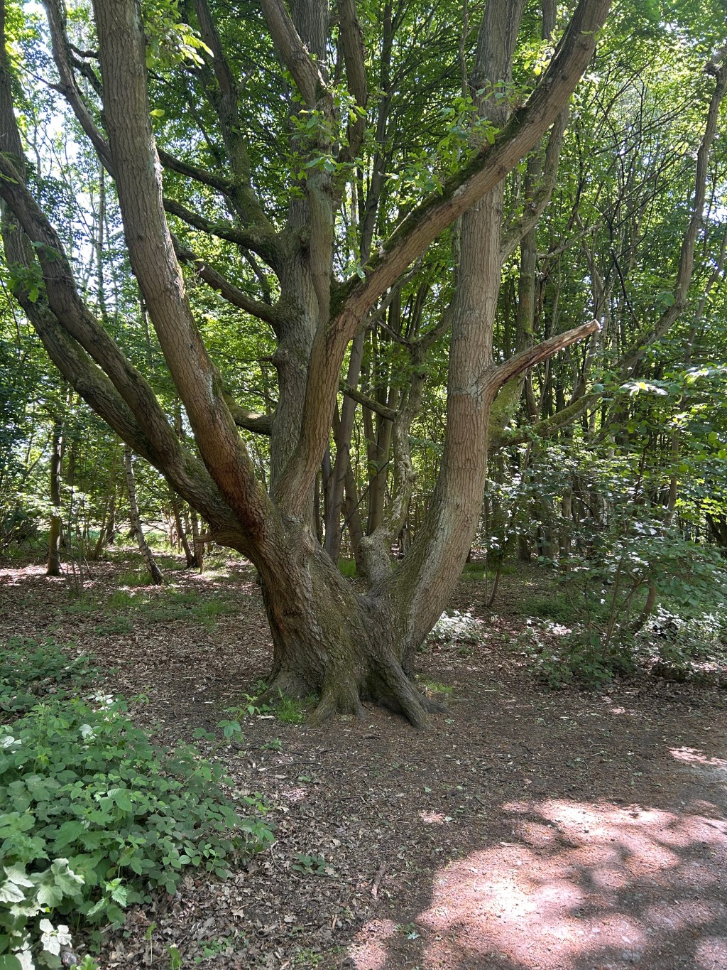 The Slow Unwind: Letting Go Takes&nbsp;Time